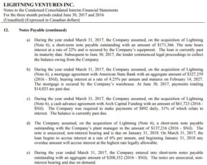 The notes payable portion of the interim financial statements as of June 30th, 2017