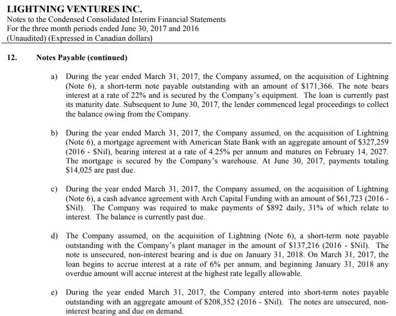 The notes payable portion of Lightning Ventures' interim financial statements as of June 30th, 2017