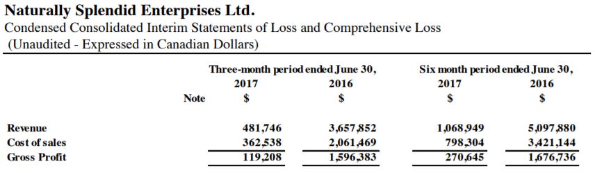 Naturally Splendid's June 30, 2017 quarterly revenues.