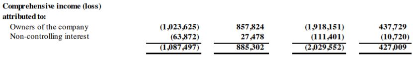 naturally Splendid's June 30, 2017 net loss.