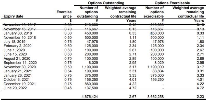 Delivra Corp's current outstanding options, as of December 2, 2017.