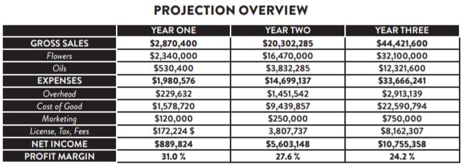 Sales projections for the AMA subsidiary of Friday Night. Snipped from investor presentation.