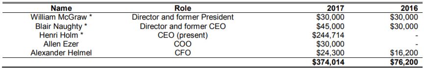 Fandom Sports' executive compensation for the nine months ended October 31, 2017.