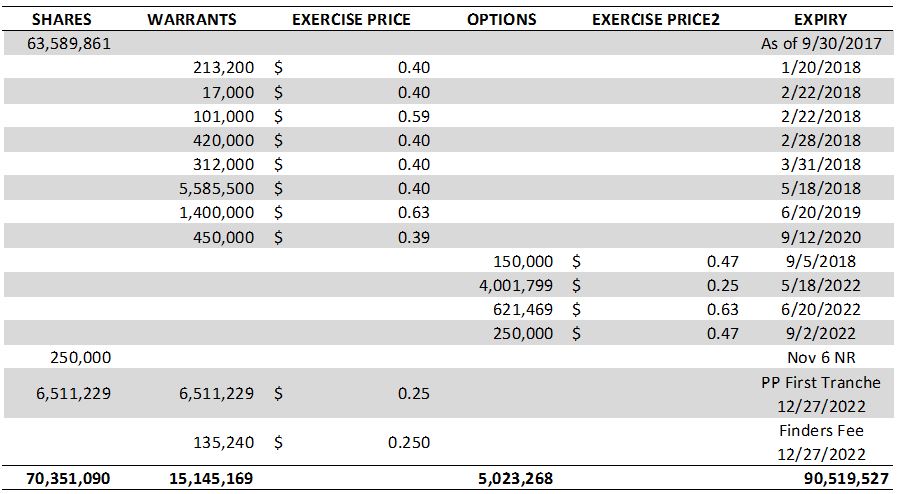 LottoGopher Holdings share structure as of January 4, 2018.