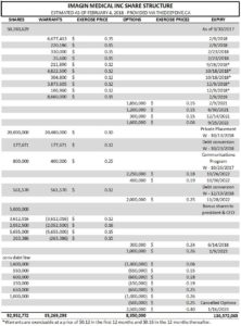 Estimated share structure of Imagin Medical as of February 4, 2018.