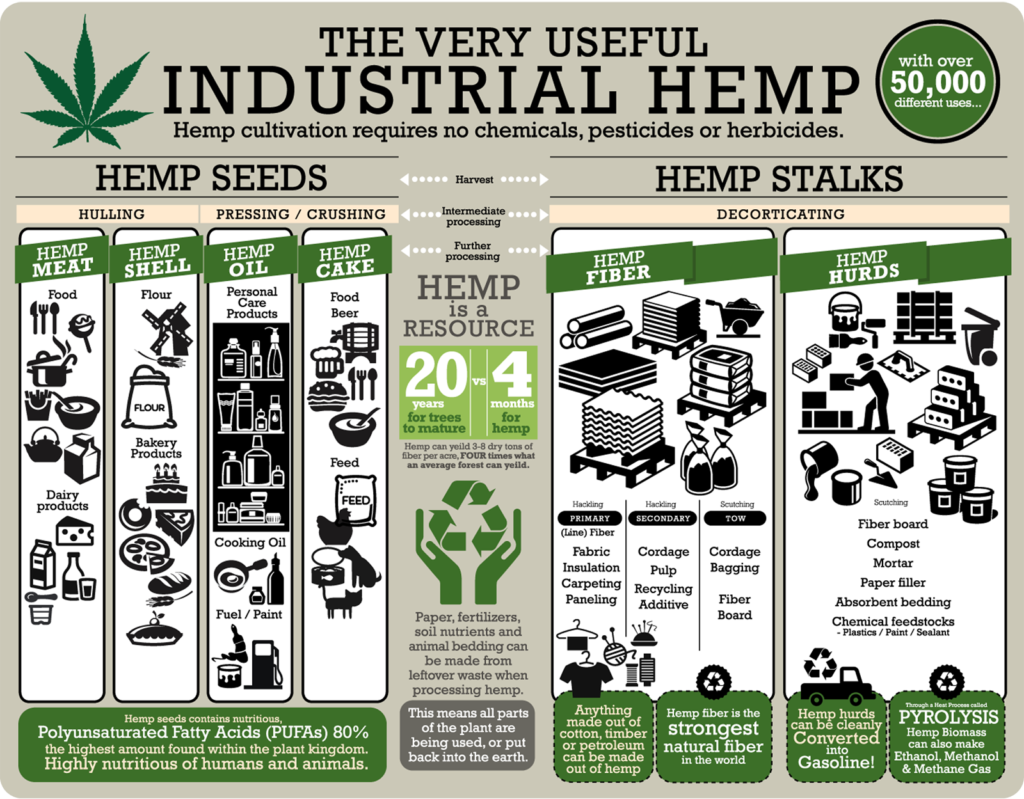 An infographic on the uses for hemp. Sourced via realhemp.com