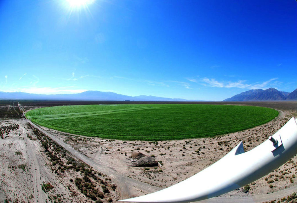 Crop Corp Nevada Hemp Farm