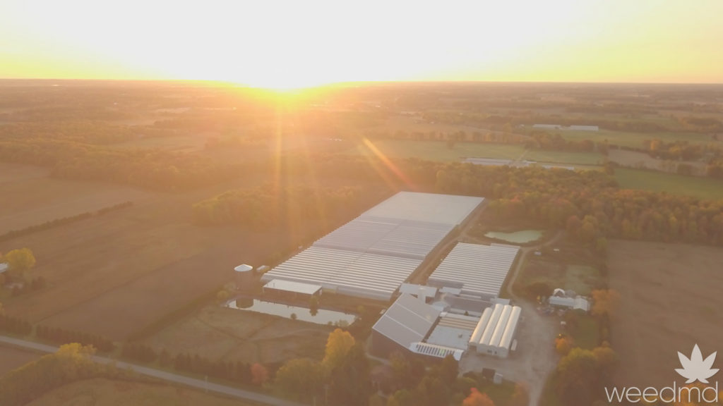 WeedMD Facility