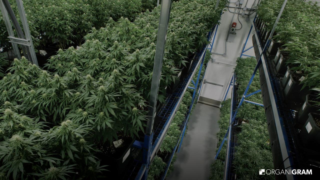 Organigram Moncton Facility