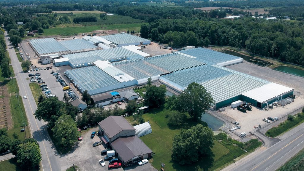 CannTrust Holdings Facility