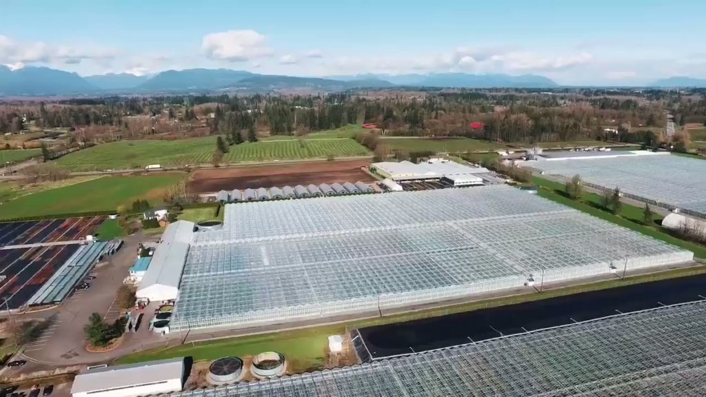 Zenabis Langley Facility
