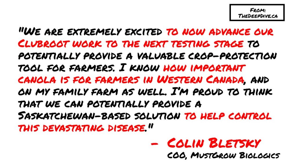 "We are extremely excited to now advance our Clubroot work to the next testing stage to potentially provide a valuable crop-protection tool for farmers. I know how important canola is for farmers in Western Canada, and on my family farm as well. I’m proud to think that we can potentially provide a Saskatchewan-based solution to help control this devastating disease." 
Colin Bletsky, COO MustGrow Biologics