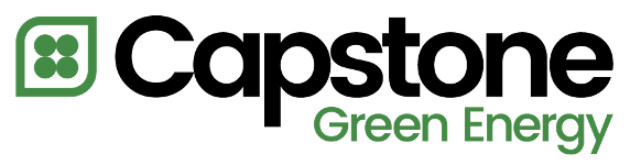 capstone logo | the deep dive