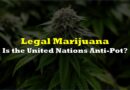 The UN Isn’t Happy With Legal Recreational Pot in the US, Reminds of 62-Year-Old International Treaty