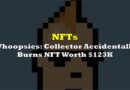 Whoopsies: Collector Accidentally Burns NFT Worth $123K