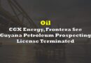 CGX Energy, Frontera See Guyana Petroleum Prospecting License Terminated