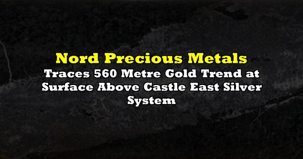 Traces 560 Metre Gold Trend at Surface Above Castle East Silver System