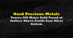 Traces 560 Metre Gold Trend at Surface Above Castle East Silver System