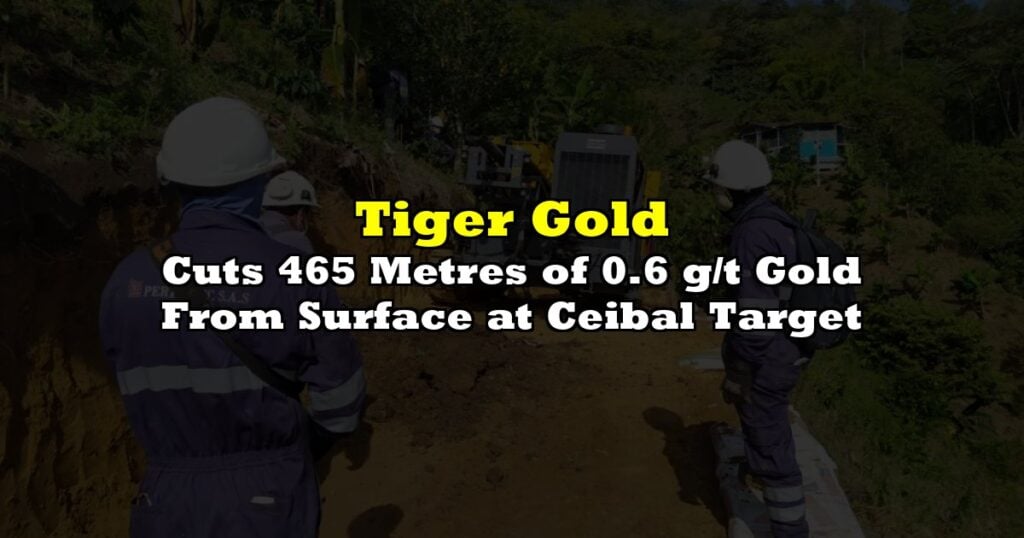 Cuts 465 Metres of 0.6 g/t Gold From Surface at Ceibal Target